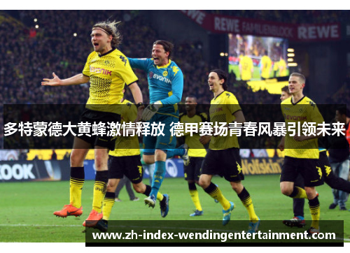 多特蒙德大黄蜂激情释放 德甲赛场青春风暴引领未来