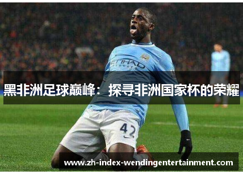 黑非洲足球巅峰：探寻非洲国家杯的荣耀